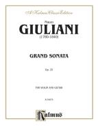 Grand Sonata for Violin and Guitar, Op. 25 (Violin) 