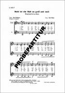 Wohl ist die Welt so groß und weit 