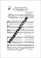 Wenn Zigeuner Hochzeit machen 