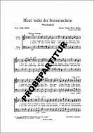 Heut lockt der Sonnenschein 