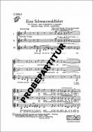 Eine Schwarzwaldfahrt 