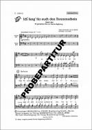 Ich fang für euch den Sonnenschein 