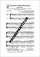 Ein kleiner weißer Schneemann 