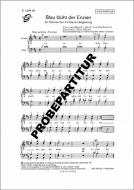 Blau blüht der Enzian 