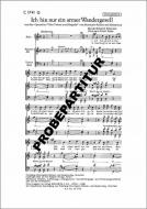 Ich bin nur ein armer Wandergesell 