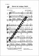 Sterne der heiligen Nacht 