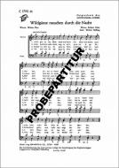 Wildgänse rauschen durch die Nacht 