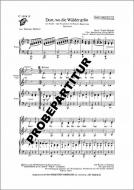 Dort, wo die Wälder grün 