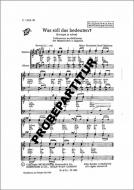 Was soll das bedeuten? 