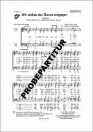 Wir ziehen der Sonne entgegen 