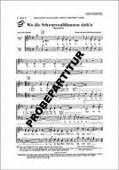 Wo die Schwarzwaldtannen stehn 