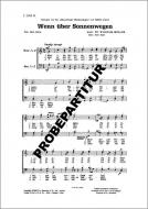 Wenn über Sonnenwegen 