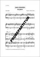 Kalinka/Zwei Gitarren 