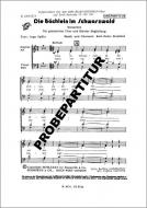 Die Bächlein im Schwarzwald 