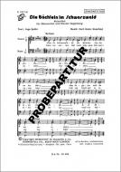 Die Bächlein im Schwarzwald 