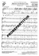 Meines Großvaters Uhr 