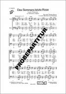 Des Sommers letzte Rose 