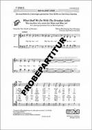 What Shall We Do With The Drunken Sailor 