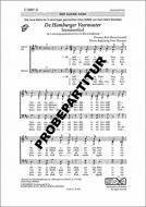 De Hamburger Veermaster 