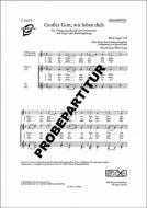 Großer Gott, wir loben dich 