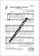 Gebet des heiligen Franziskus 