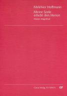 Meine Seele erhebt den Herren 