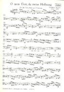 O mein Gott, du meine Hoffnung 