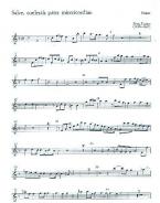 Salve, coelestis pater misericordiae 