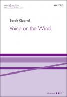 Voice on the Wind 