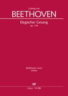 Elegischer Gesang op. 118 Standard