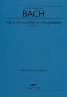 Wie schön leuchtet der Morgenstern Standard