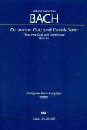 Du wahrer Gott und Davids Sohn 