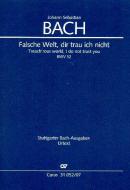 Falsche Welt, dir trau ich nicht 