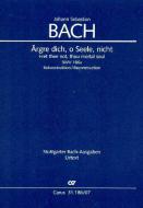 Ärgre dich, o Seele, nicht 