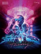 Simulation Theory 