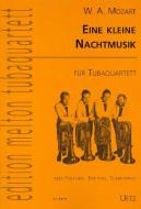 Eine kleine Nachtmusik 