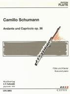 Andante und Capriccio op. 36 