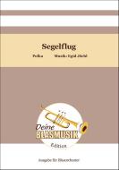 Segelflug 