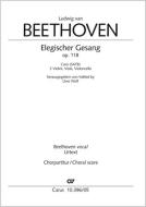 Elegischer Gesang op. 118 