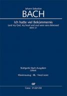 Ich hatte viel Bekümmernis - XL im Großdruck 