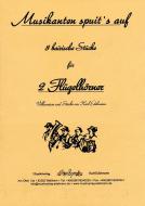 Musikanten spuit's auf 