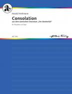 Consolation op. 100 Nr. 3A Download