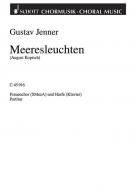 Meeresleuchten Download