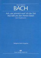 Bach, J.M.: Zwei Strophenarien 