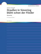 Draussen in Sievering blüht schon der Flieder 