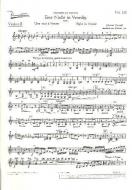 Eine Nacht in Venedig Download