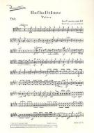 Hofballtänze op. 161 