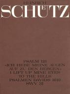 Ich hebe meine Augen auf zu den Bergen 