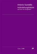 Die Auferstehungs-Historie 