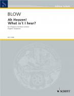 O Himmel! Was hört mein Sinn Download